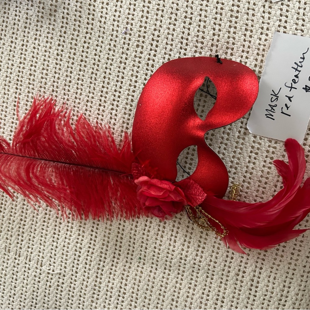 Elegant Red Feathered Mask